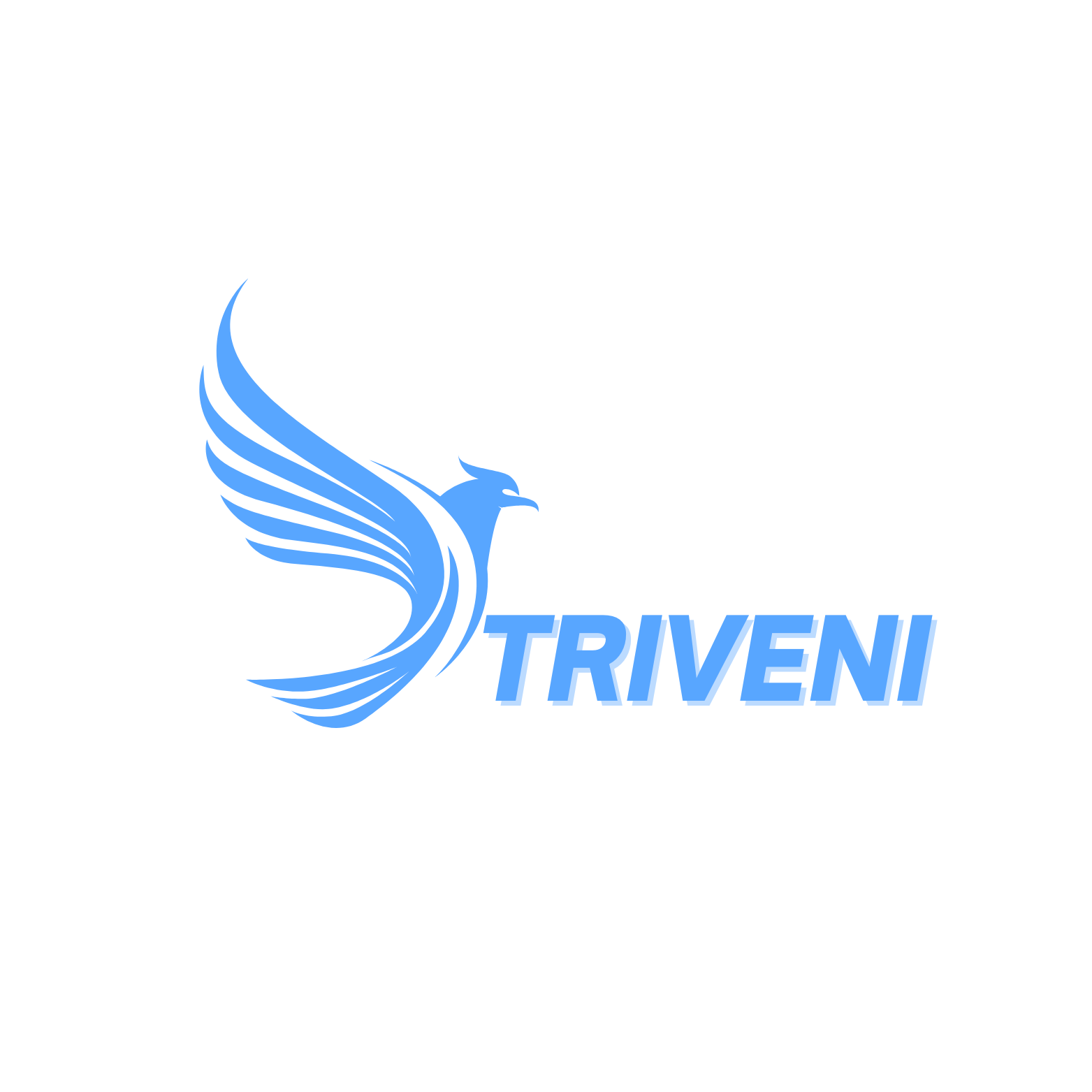 Triveni Safety Nets Logo