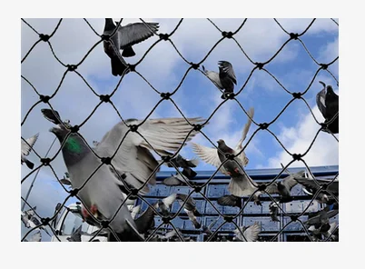 Anti Bird Nets